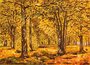 Landscape “In the reserved oak grove of P. the Great” (Ivan Shishkin)